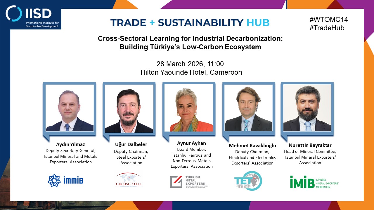 Cross-Sectoral Learning for Industrial Decarbonization: Building Türkiye's Low-Carbon Ecosystem