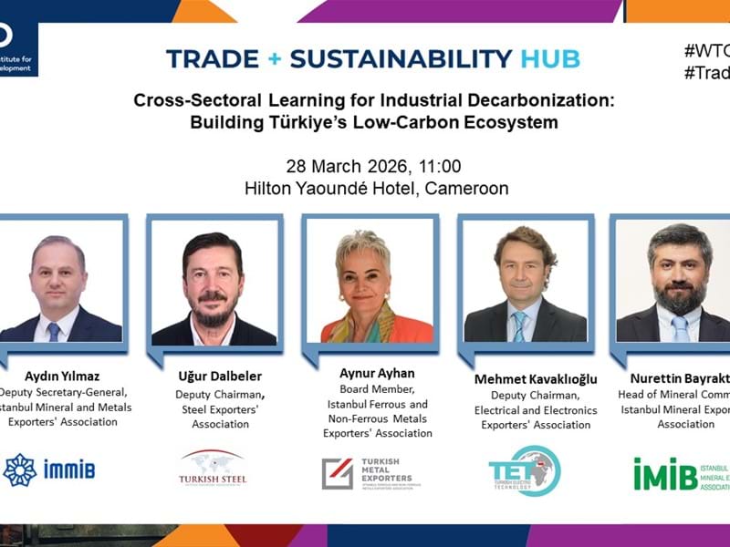 Cross-Sectoral Learning for Industrial Decarbonization: Building Türkiye's Low-Carbon Ecosystem